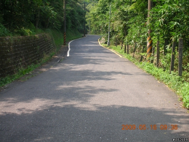 [路線調查]汐碇路蔭涼度調查記錄