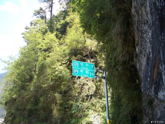南橫之梅山口～埡口
