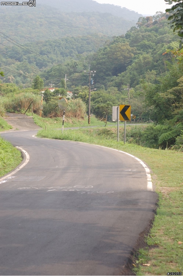 八連路上五指山...新發現 求 鳥名...感恩