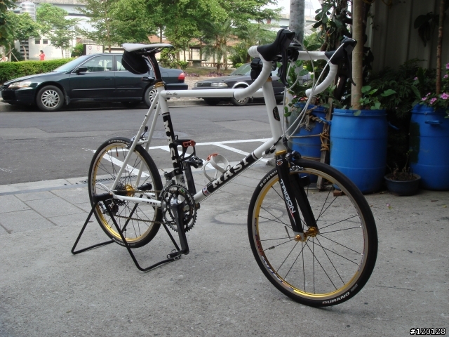 更新！又敗家囉！分享考慮1個多月才買的新車【MASI Mini Velo】