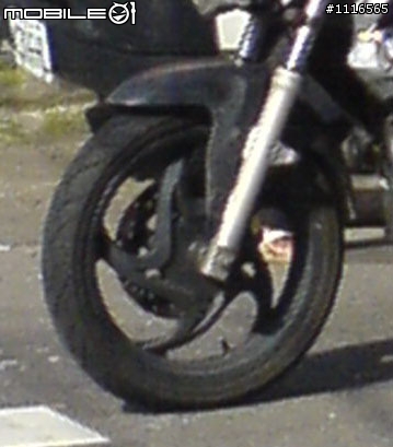 3隻小陽  新車間諜照