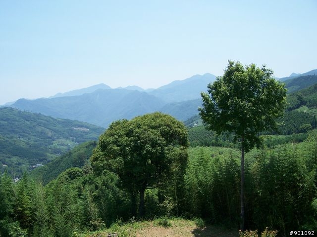 新竹縣五個山地部落 ( 和平~羅山~花園~天湖~梅花 ) 雙越嶺