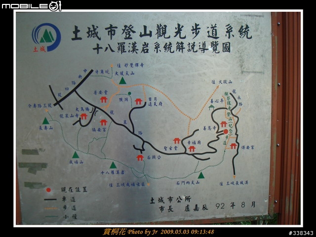 [照片] 980503 三月瘋馬祖，五月賞桐花 (圖多)