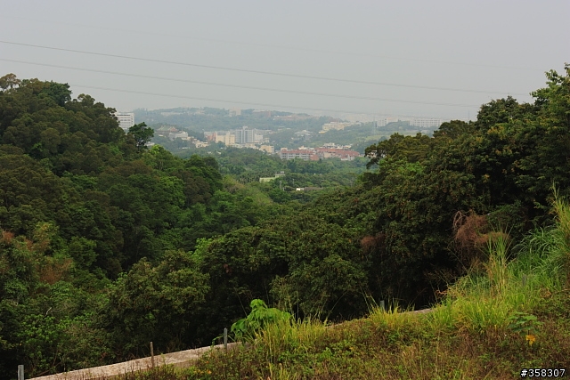 彰化市：桃源里森林步道（順撿坑子內山圖根點）
