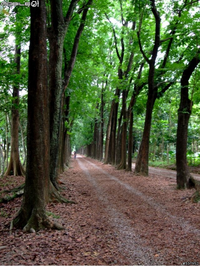 20090529[獨跑拍照景觀行]新威-山妍villa(寶來)-五公山