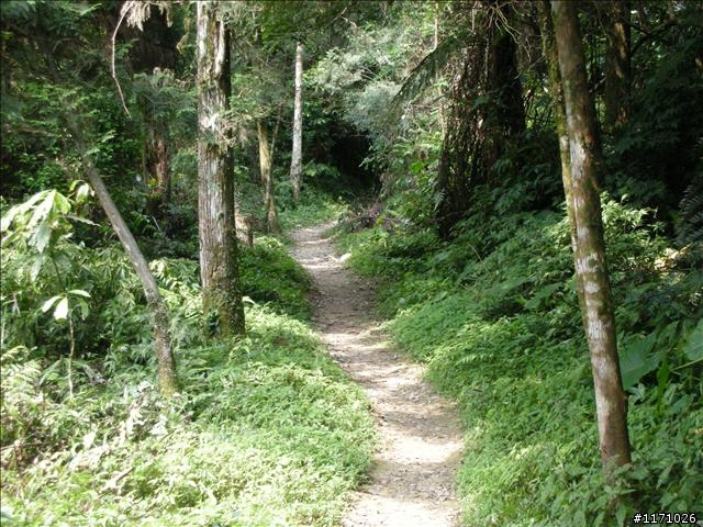 熊空越嶺紅河谷