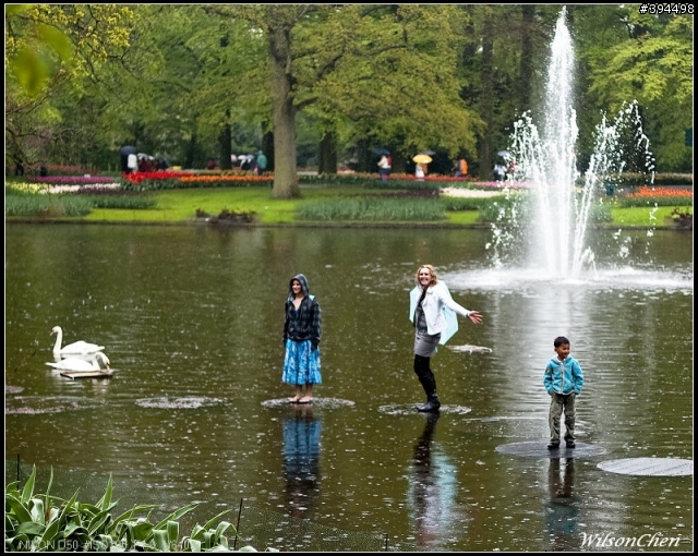 荷蘭 Keukenhof 花園