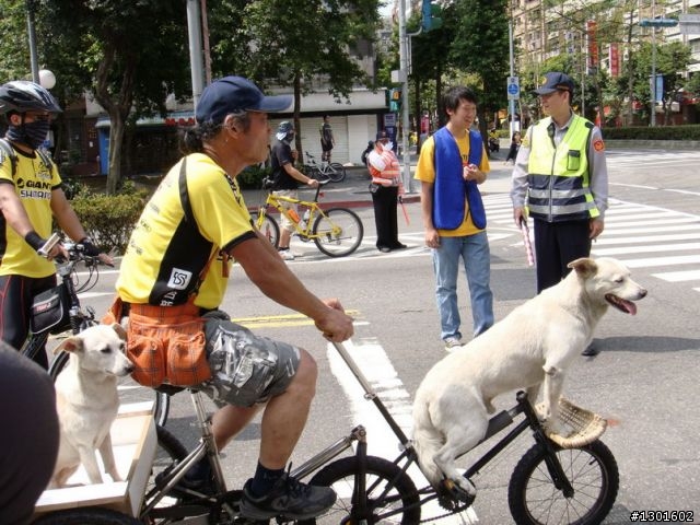 [照片]三輪車跑得快～