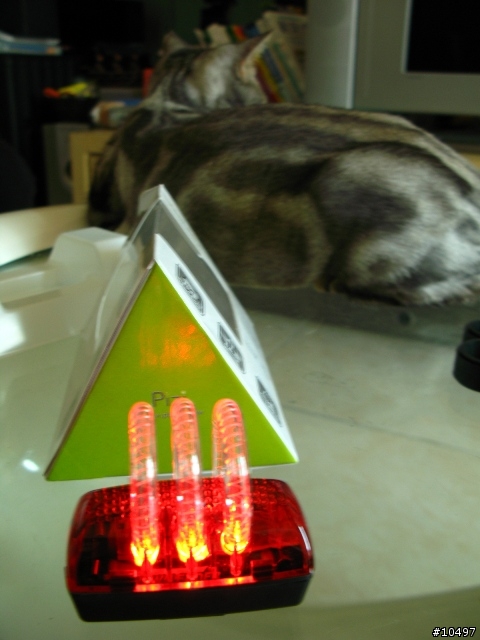[分享]來個與眾不同的尾燈吧-Pizi Tail Light