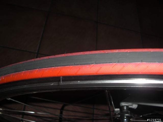 網拍寄來的二條胎紋不同 ,請教( SERFAS SECA RS 700 x 23"公路車外胎)