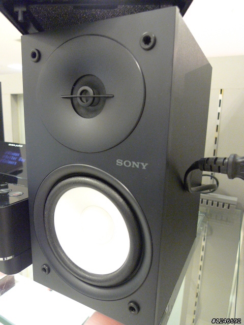 取代你電腦的硬碟音樂撥放區之~SONY E35HD  內建80G硬碟式床頭音響