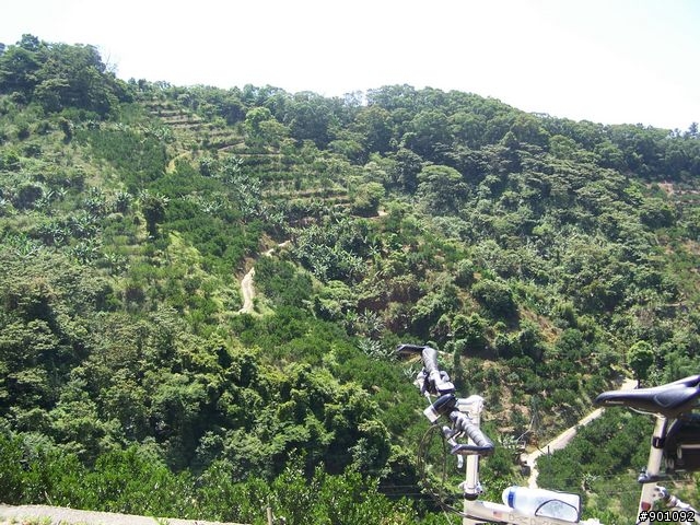 2009/5/12 三元宮上顯伯宮+鹿寮坑~關西 小越嶺 + 自不量力之錦山~水田 越嶺