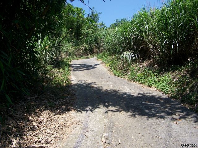 2009/5/12 三元宮上顯伯宮+鹿寮坑~關西 小越嶺 + 自不量力之錦山~水田 越嶺