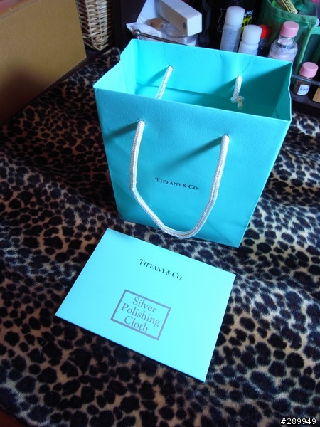 生日禮物~TIFFANY 項鍊