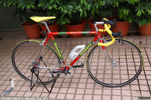 (下坡王)骨頭的鋼管車開箱照...photo by AJ