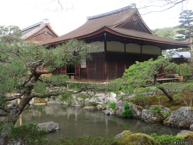 {國外 遊記} 日本賞櫻 第四天 銀閣寺 + 金閣寺 + 箱根強羅公園