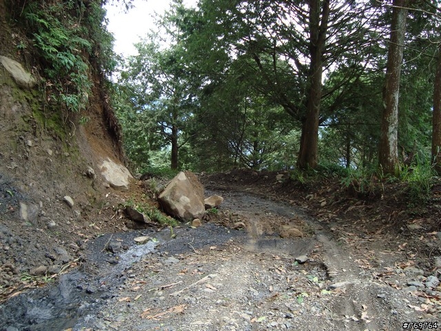 [分享]6/28 小關山林道探路之不負責分享...圖多...