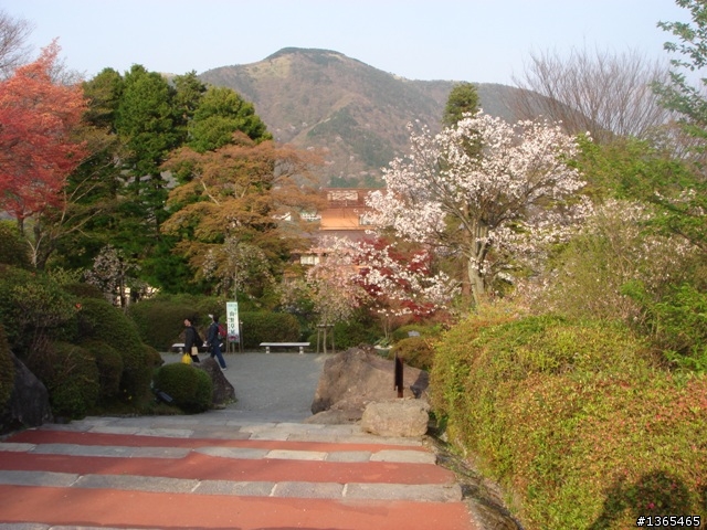 {國外 遊記} 日本賞櫻 第四天 銀閣寺 + 金閣寺 + 箱根強羅公園