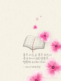 [240x320][176x220] 含其他格式 動態桌布主題 <一>