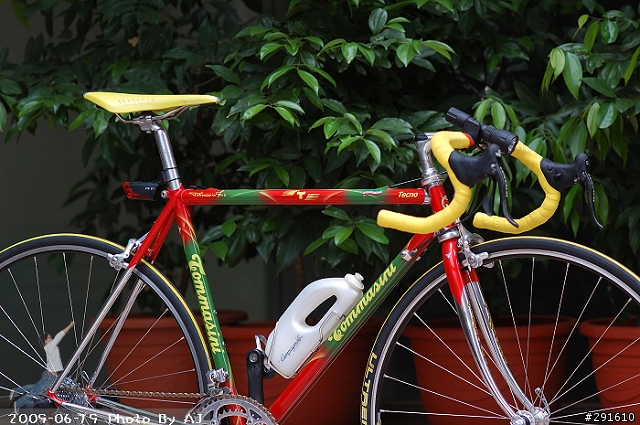 (下坡王)骨頭的鋼管車開箱照...photo by AJ