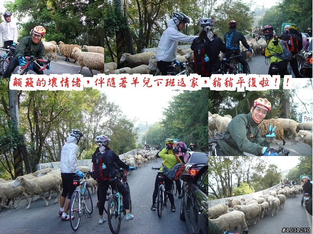 【分享】98武嶺小小試騎…