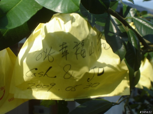 【隨緣】計畫趕不上變化一切都隨緣...啦