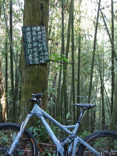 發現瀑布之旅 - 神木林道、支線