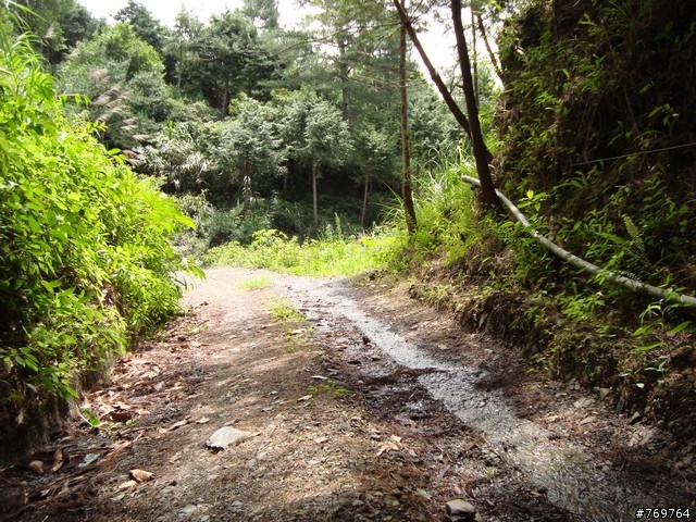 [分享]6/28 小關山林道探路之不負責分享...圖多...