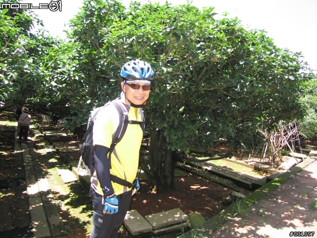 [遊記]20090627八卦山國家風景區139全線、加碼集集綠色隧道－中寮－南投139線(女王篇)