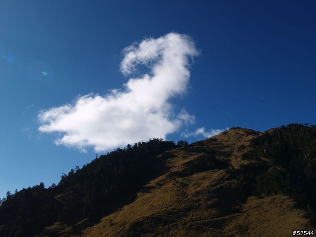 老姐的E-500   合歡山