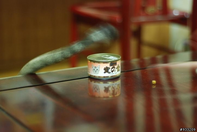 [分享]你家寵物讓人最哭笑不得的表情