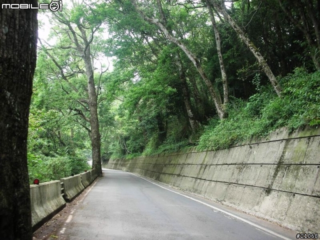 北橫雙騎(27k--62k)後段風景超優