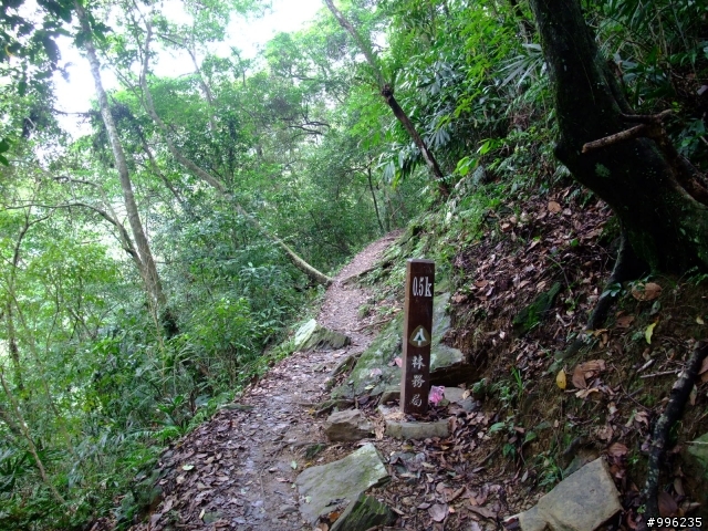信賢舊道和內洞森林瀑布之行