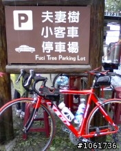 發生在夫妻樹的糗事