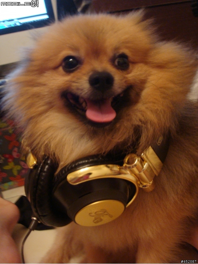 [開箱文]分享燒燙燙的skullcandy T.I.