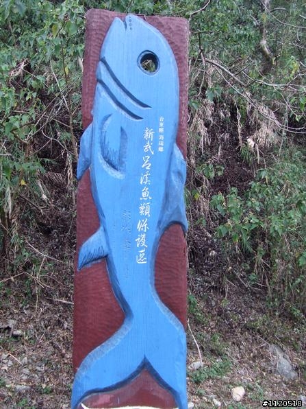 【遊記】三橫三部曲之最終戰：2日南橫 (雲海、神木、芬多精，我來啦！)