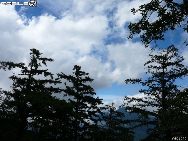 【中部出遊】2天1夜熱血RV三橫遊-[平安簽到區]