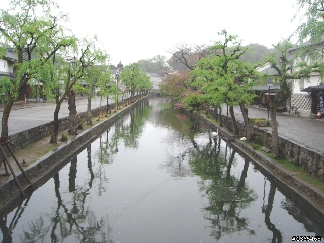 {國外 遊記} 日本賞櫻 第二天 宮島上的厳島神社 + 倉敷美観地区 + スパワールド世界の大温泉