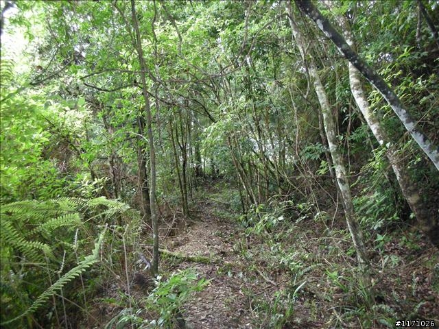 西坑越嶺  (探勘篇)