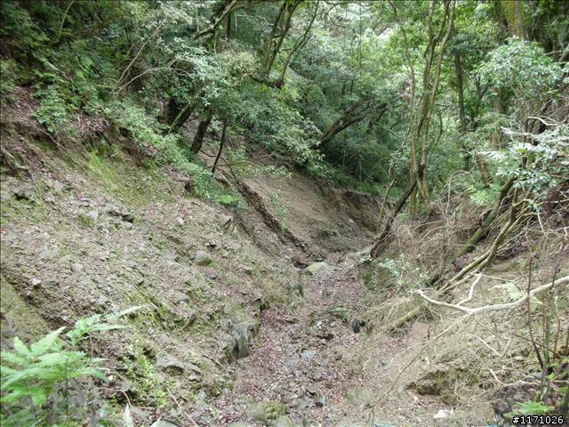 西坑越嶺  (探勘篇)