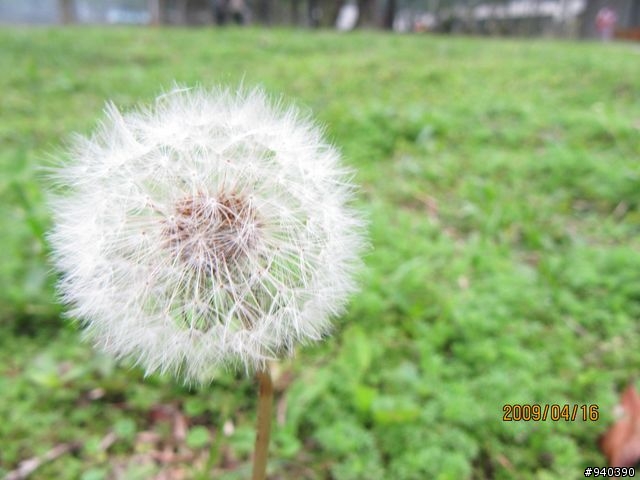 sx200is蓋大樓囉~