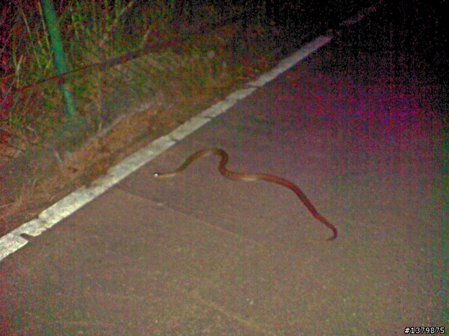 靠近山區的自行車道請小心唷