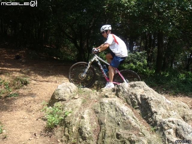 Rocky Mountain Element 50 自組車簡單分享