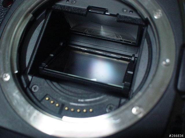 Canon 5D ~~ 出來混總有一天要還的!! 噴...(6/15 更新)