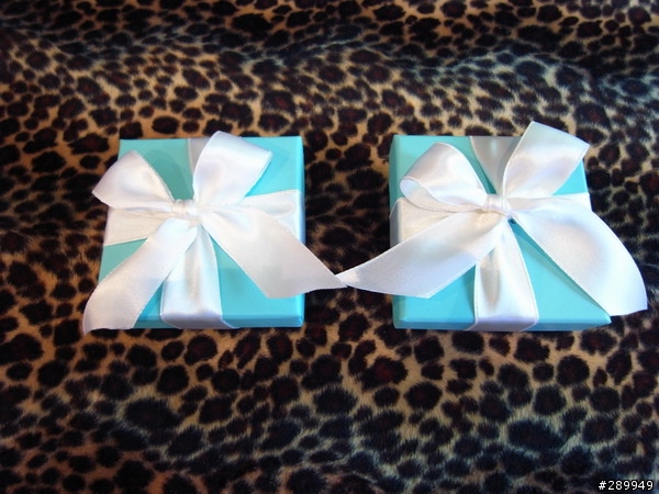 生日禮物~TIFFANY 項鍊