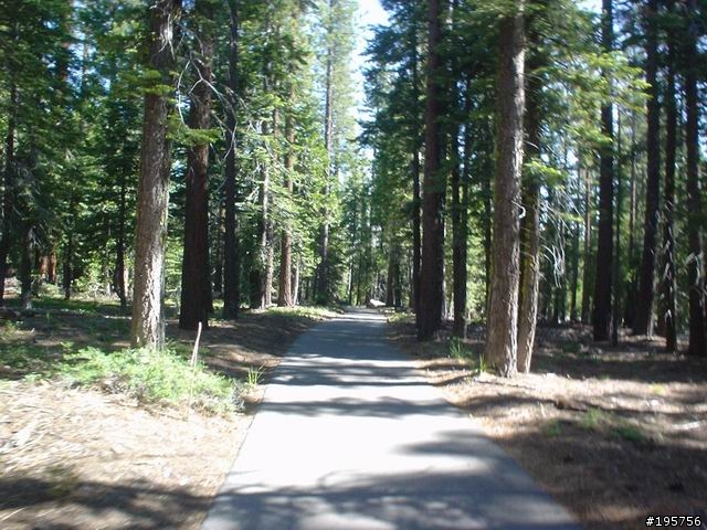 Tahoe環湖殘念