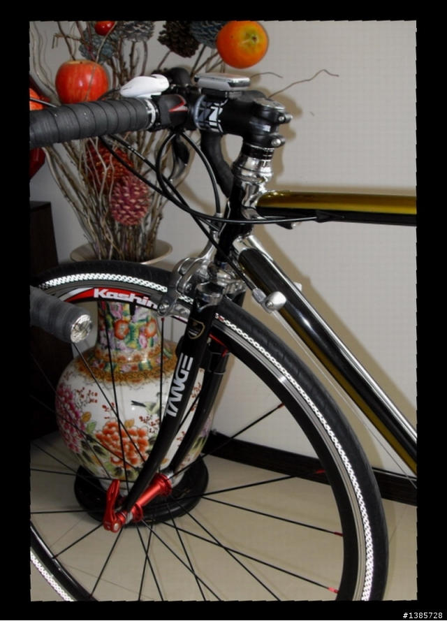 台灣丹下(TANGE)鋼管公路車