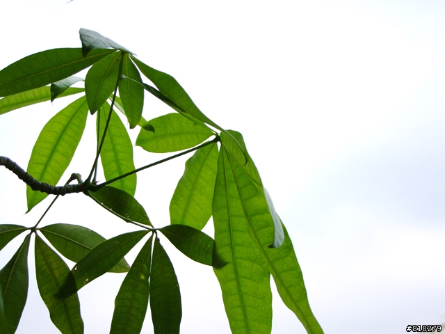 請問了解&有在使用動態範圍的大大