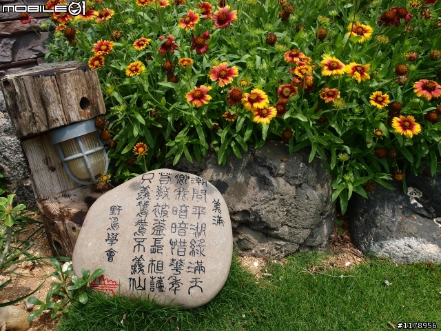澎湖最漂亮的民宿~候鳥沙灘民宿~來此身體和心都休息到了