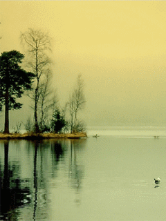 [240x320][176x220] 含其他格式 動態桌布主題 